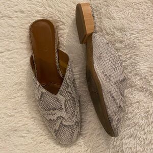 FRANCO SARTO Van Mule in grey and white snakeskin print leather.